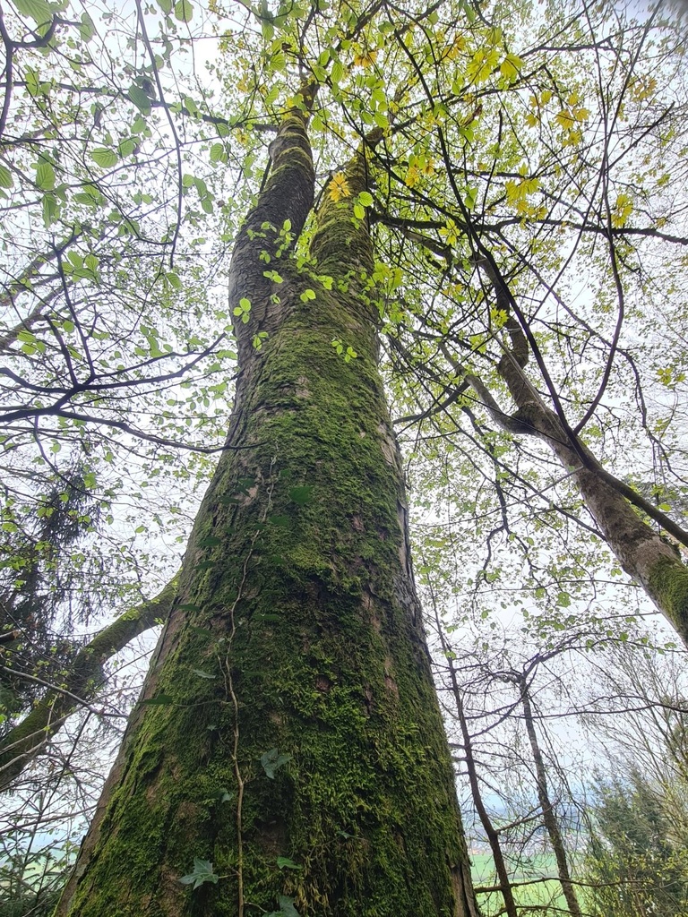 Ueberholspur_4_1500px.jpg