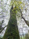 Ueberholspur_4_1500px.jpg