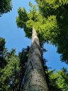 Zeichen-der-Zeit-3_Easy-Resize.com_.jpg