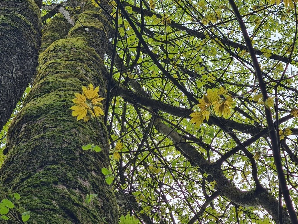 Ueberholspur_5_1500px.jpg