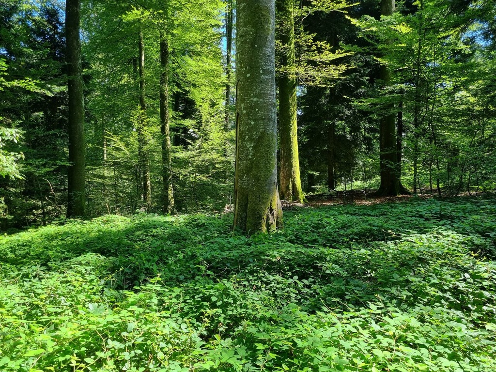 Zeichen-der-Zeit-5_Easy-Resize.com_.jpg