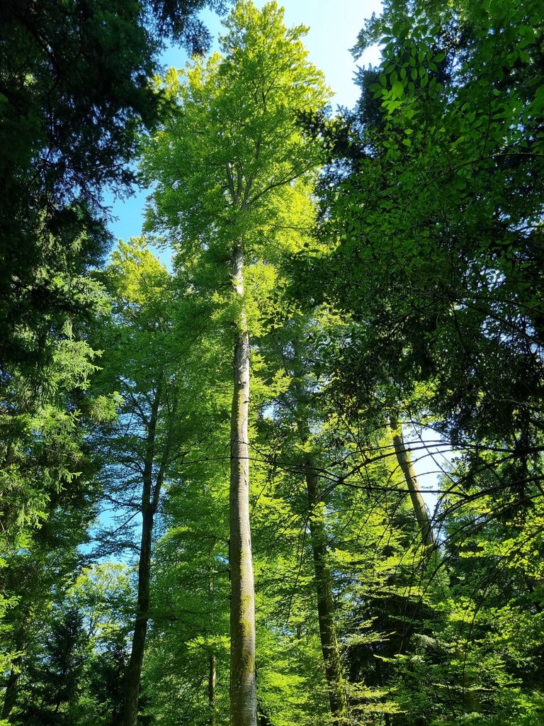 Zeichen-der-Zeit-6_Easy-Resize.com_.jpg