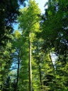 Zeichen-der-Zeit-6_Easy-Resize.com_.jpg