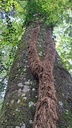Die-Umarmte-2_Easy-Resize.com_.jpg