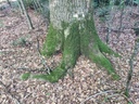 Flaechti_Easy-Resize.com-2.jpg