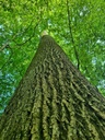 Flaechti_Easy-Resize.com-4.jpg