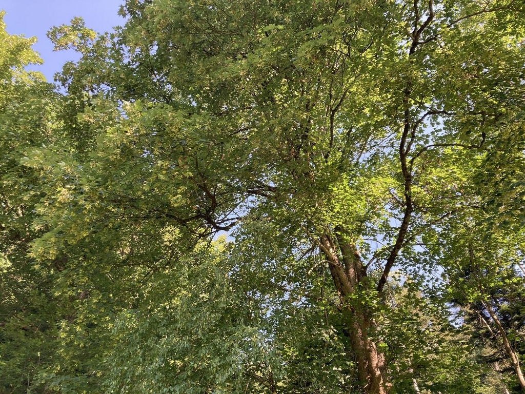 Ueberholspur_9309_Easy-Resize.com_.jpg