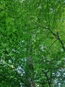Warzli-6_Easy-Resize.com_.jpg