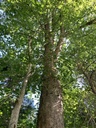 Ueberholspur_9311_Easy-Resize.com_.jpg