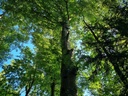 Knorrli-2_Easy-Resize.com_.jpg