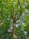 Enthusiast-3_Easy-Resize.com_.jpg