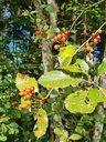 Abendrot-2_Easy-Resize.com_.jpg