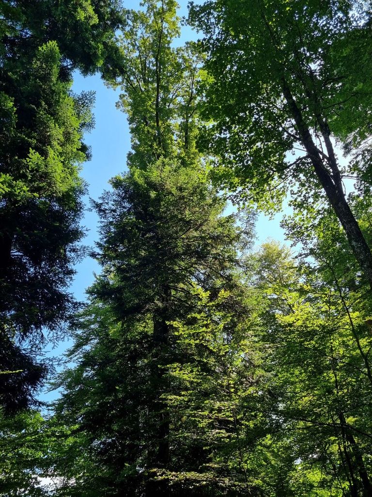 20240815_113524_Easy-Resize.com_.jpg