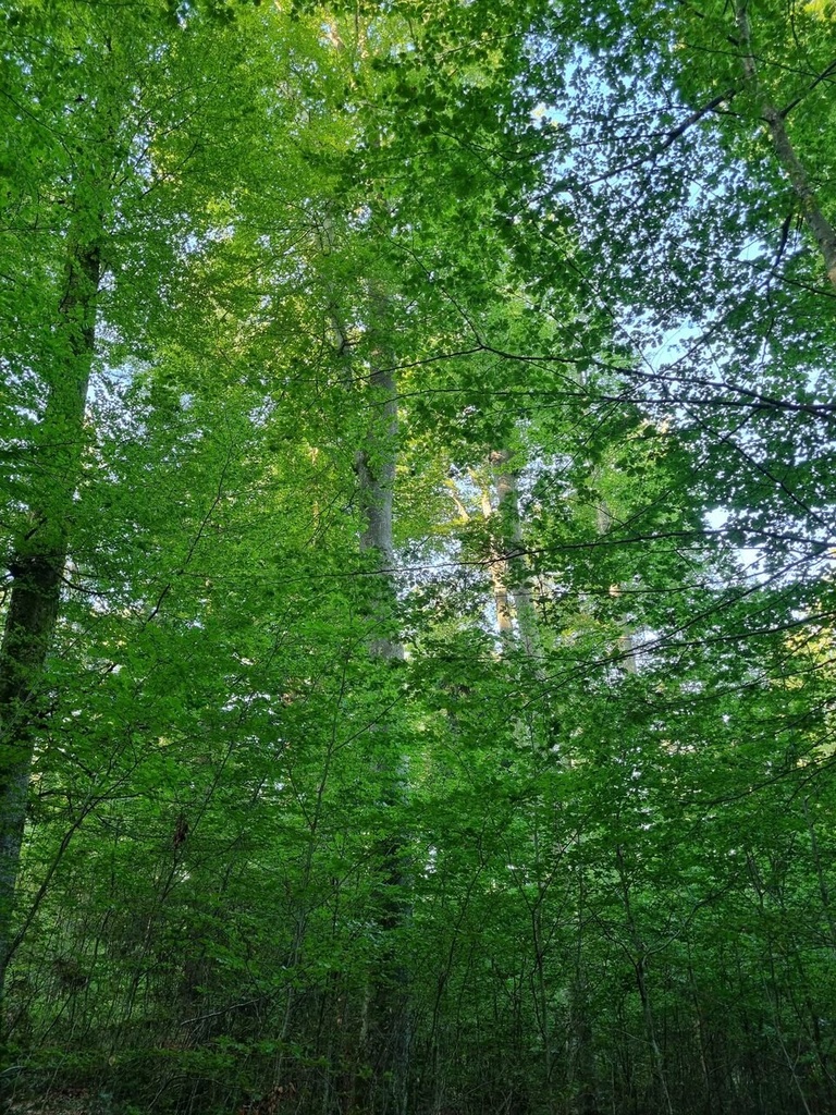 Moosli-4_Easy-Resize.com_.jpg