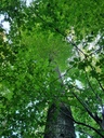 Moosli-6_Easy-Resize.com_.jpg