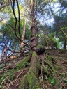 Wilde-Koebi-2_Easy-Resize.com_.jpg