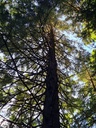 Wilde-Koebi-5_Easy-Resize.com_.jpg