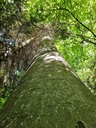 Radix-Imposantus-3_Easy-Resize.com_.jpg