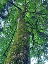 Lilia-3_Easy-Resize.com_.jpg