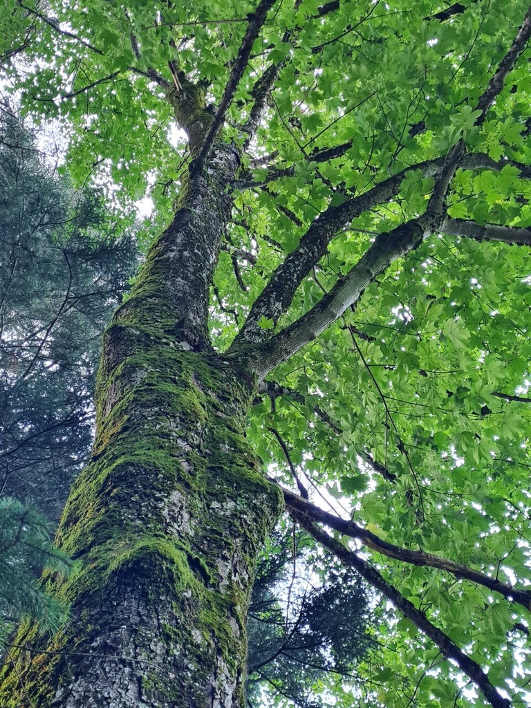 Lilia-4_Easy-Resize.com_.jpg