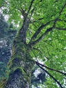 Lilia-4_Easy-Resize.com_.jpg