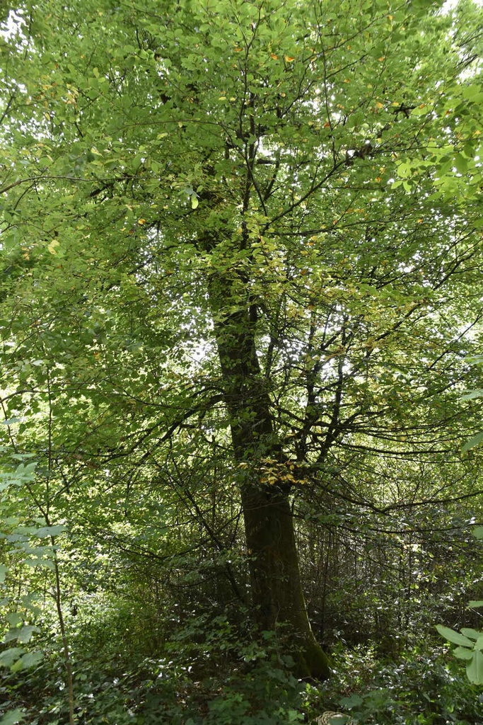 DSC9398_Easy-Resize.com_.jpg