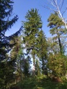 Faro-2_Easy-Resize.com_.jpg