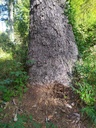 Faro-5_Easy-Resize.com_.jpg