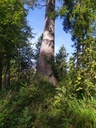 Faro-6_Easy-Resize.com_.jpg