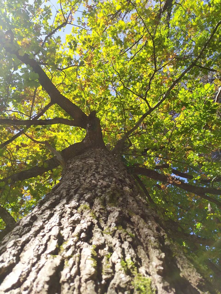 Kasiopeia-2_Easy-Resize.com_.jpg