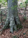 Hesperiden-4_Easy-Resize.com_.jpg