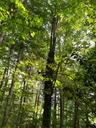 Hesperiden-6_Easy-Resize.com_.jpg