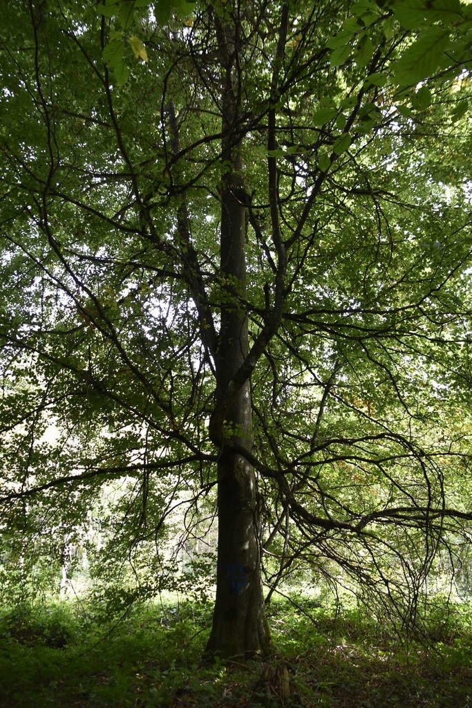 DSC9380_Easy-Resize.com_.jpg
