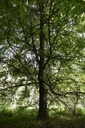 DSC9380_Easy-Resize.com_.jpg