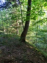 1697223331817_Easy-Resize.com_.jpg