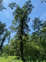 Windmueli-web-2_Easy-Resize.com_.jpg