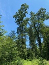 Windmueli-web-5_Easy-Resize.com_.jpg