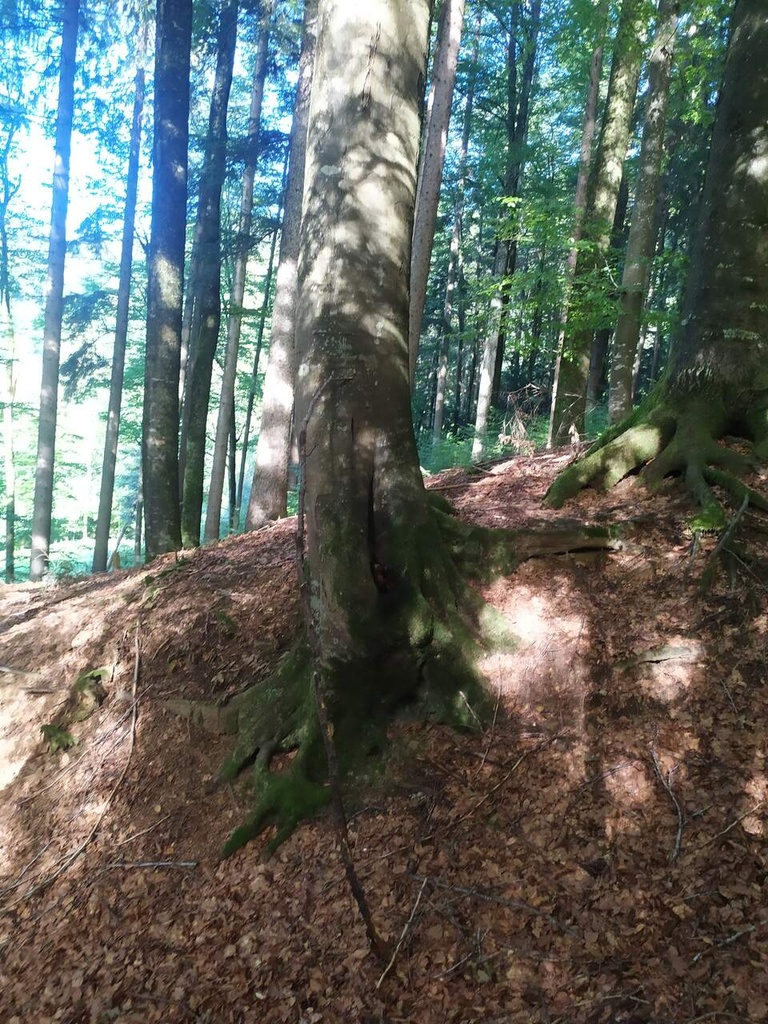 Schellenursli-5_Easy-Resize.com_.jpg