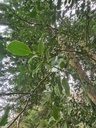 Parallelen_3_1500px.jpg