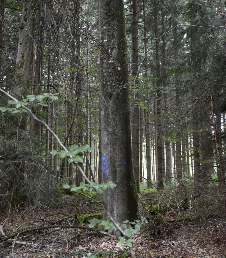 DSC9370_Easy-Resize.com_.jpg