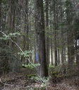 DSC9370_Easy-Resize.com_.jpg