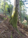 Kaspar-3_Easy-Resize.com_.jpg