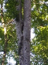 Kaspar-8_Easy-Resize.com_.jpg