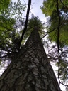 Stoertebeker-3_Easy-Resize.com_.jpg