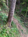 Stoertebeker-4_Easy-Resize.com_.jpg