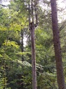 Stoertebeker-5_Easy-Resize.com_.jpg