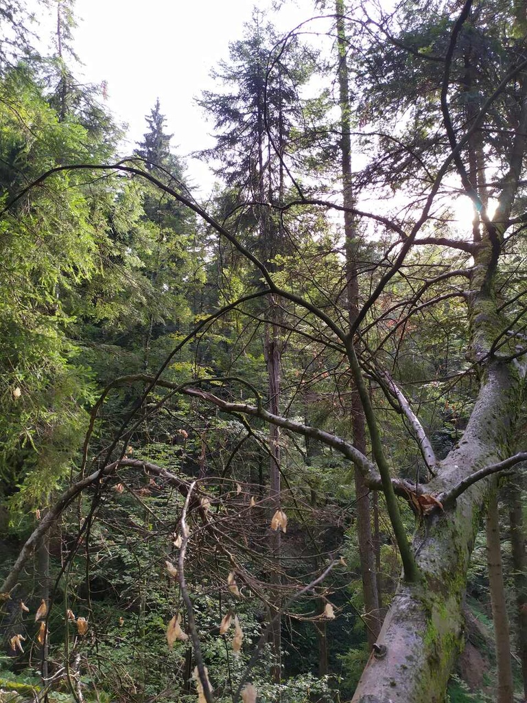 Stoertebeker-6_Easy-Resize.com_.jpg
