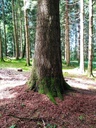 der-Unendliche-3_Easy-Resize.com_.jpg