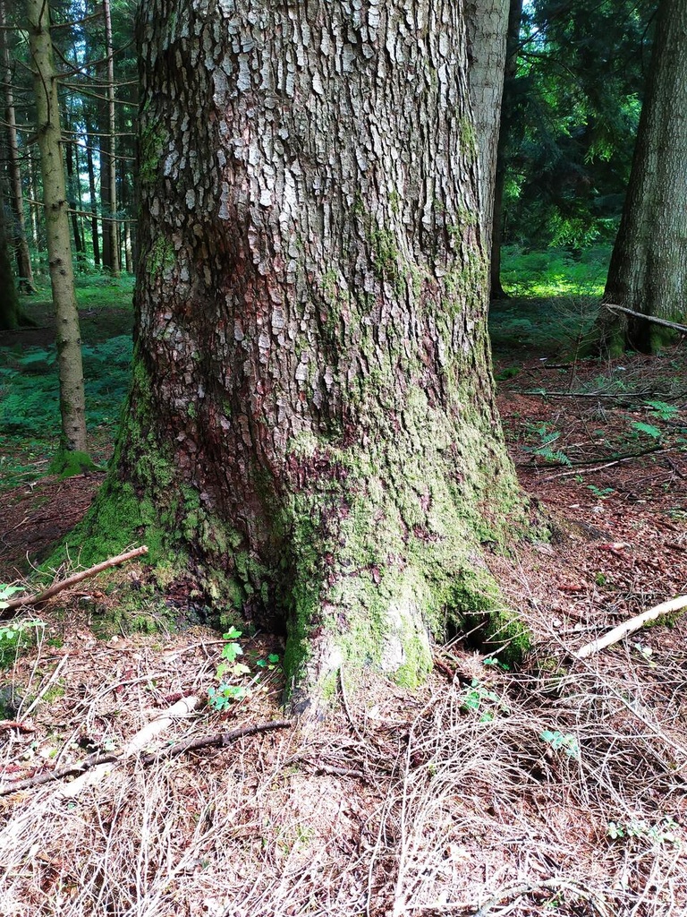 der-Unendliche-5_Easy-Resize.com_.jpg