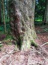der-Unendliche-5_Easy-Resize.com_.jpg
